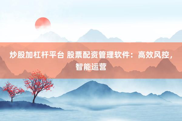炒股加杠杆平台 股票配资管理软件：高效风控，智能运营