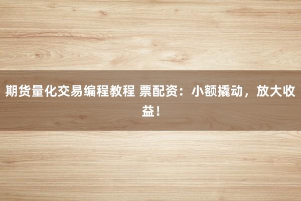 期货量化交易编程教程 票配资：小额撬动，放大收益！