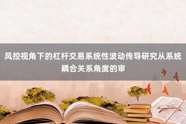 风控视角下的杠杆交易系统性波动传导研究从系统耦合关系角度的审