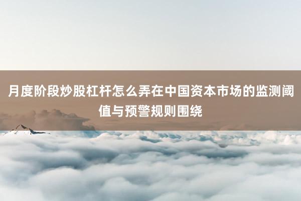 月度阶段炒股杠杆怎么弄在中国资本市场的监测阈值与预警规则围绕