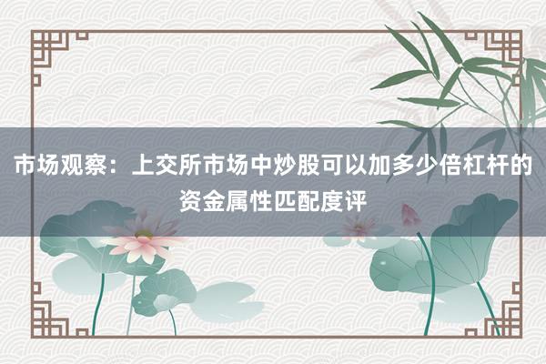 市场观察：上交所市场中炒股可以加多少倍杠杆的资金属性匹配度评