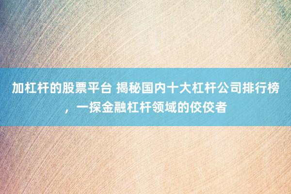加杠杆的股票平台 揭秘国内十大杠杆公司排行榜,一探金融杠杆领域的佼佼者