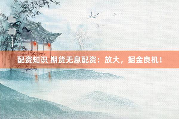 配资知识 期货无息配资：放大，掘金良机！