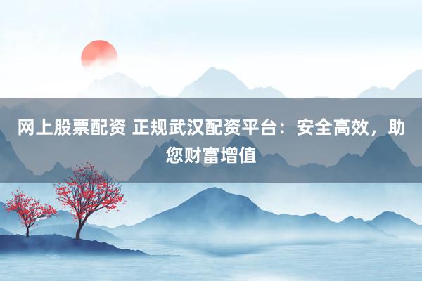 网上股票配资 正规武汉配资平台：安全高效，助您财富增值